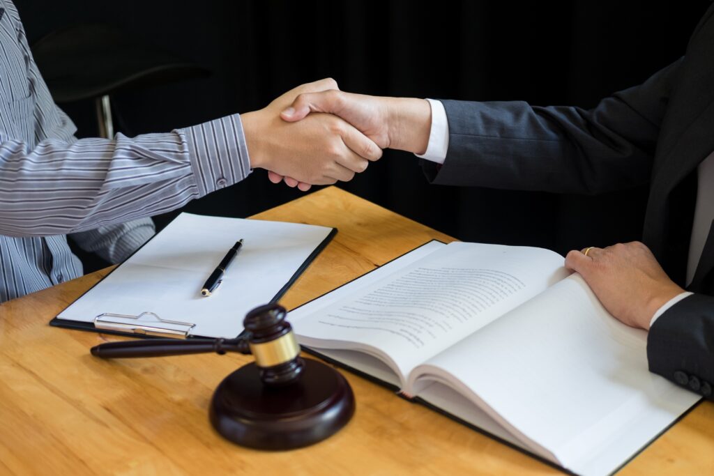 how did family mediation became a law in south africa
